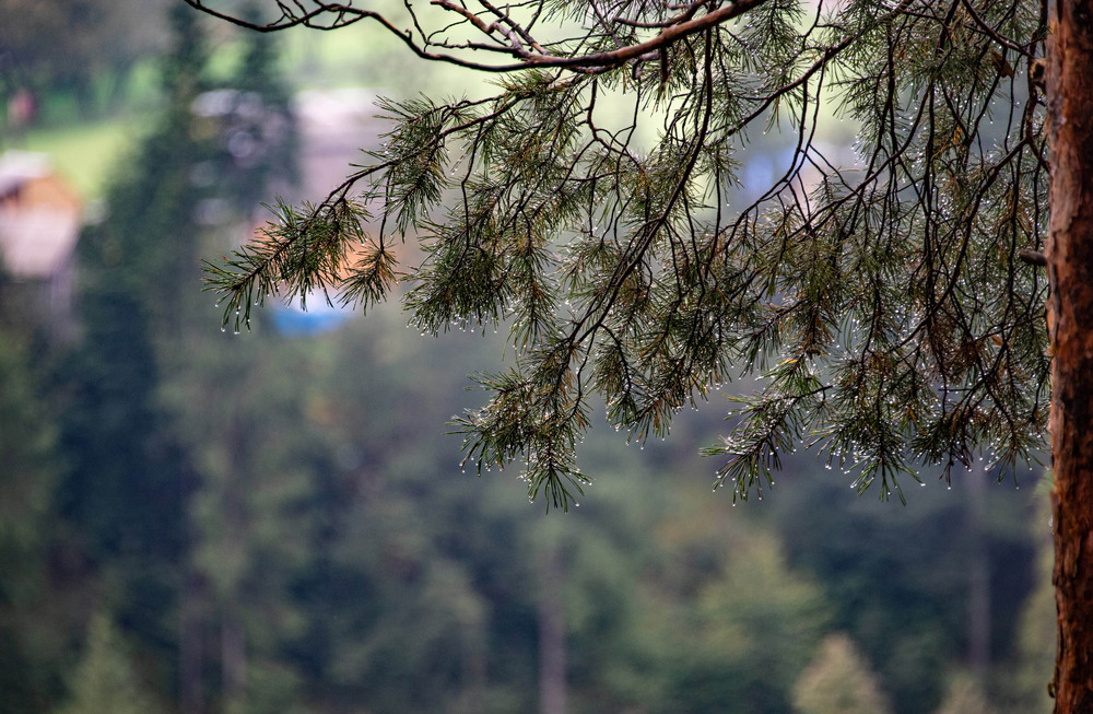 Фотографія Гламур / Igor Vakaliuk / photographers.ua