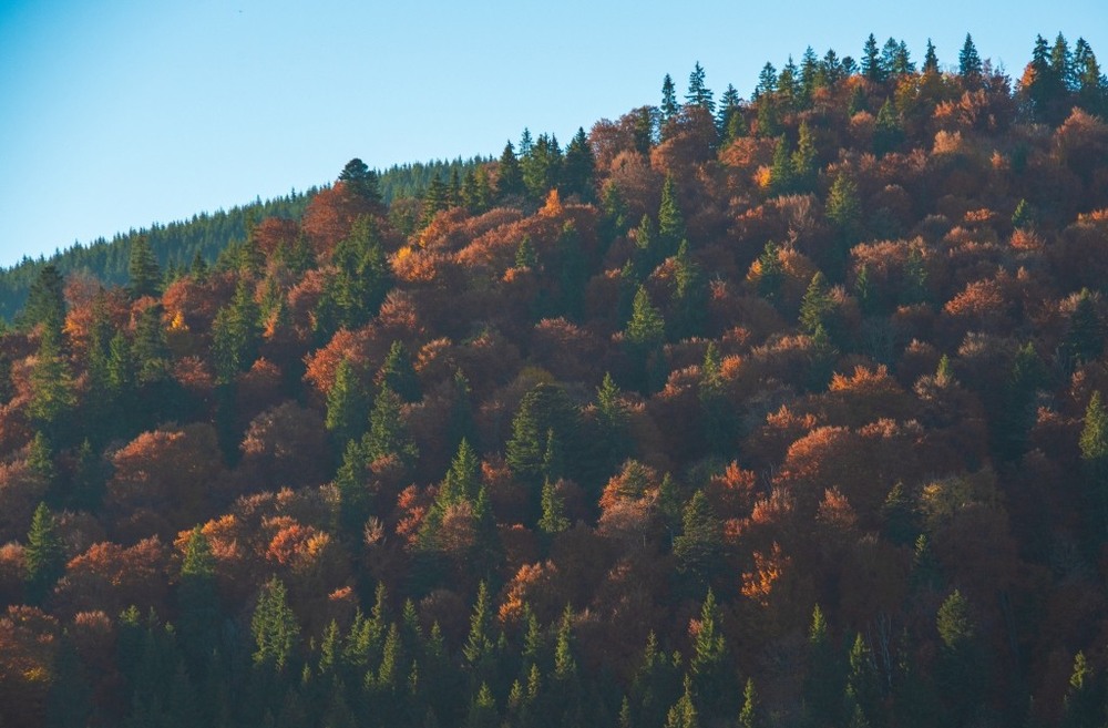 Фотографія Гламур / Igor Vakaliuk / photographers.ua