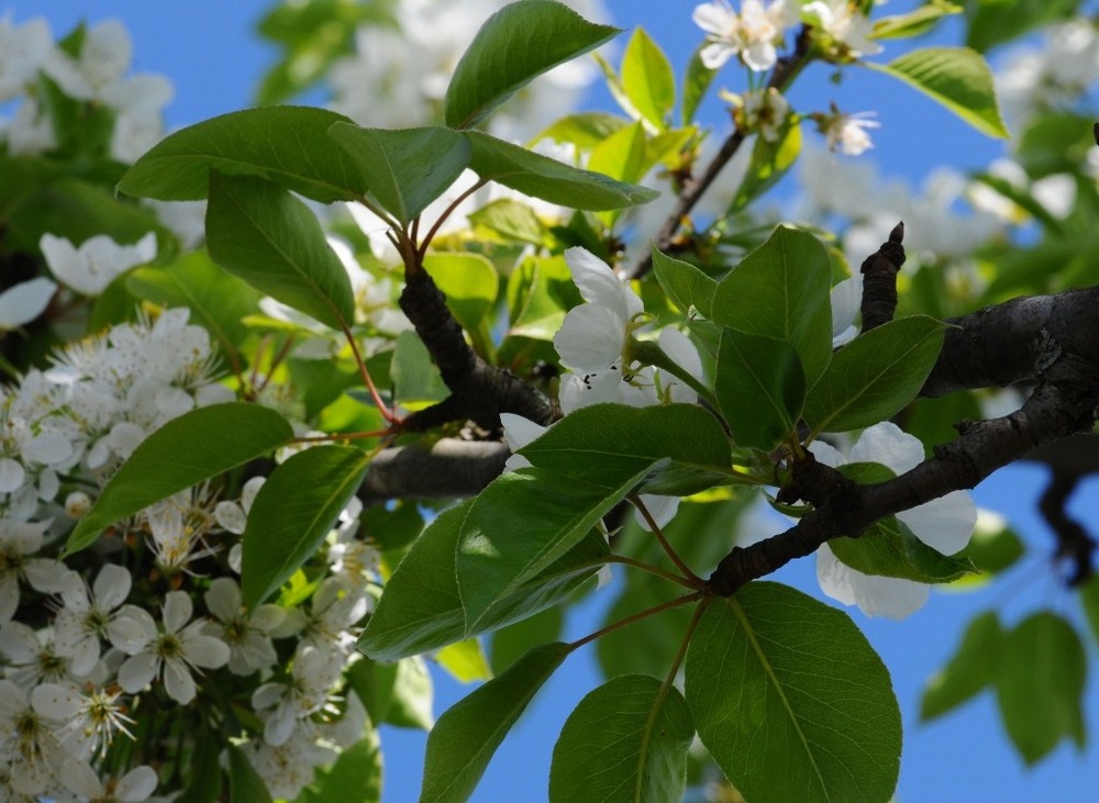 Фотографія Гламур / Igor Vakaliuk / photographers.ua