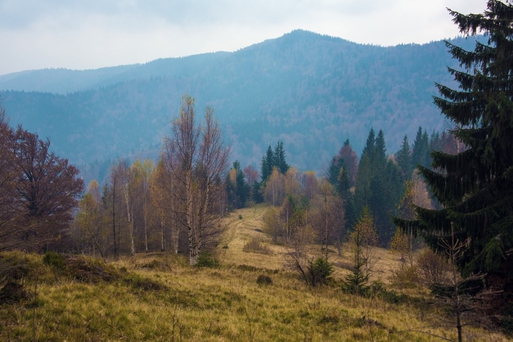 Фотографія Гламур / Igor Vakaliuk / photographers.ua