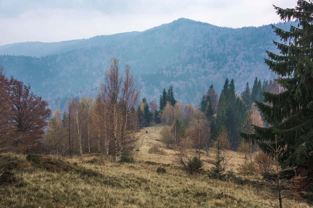 Фотографія Гламур / Igor Vakaliuk / photographers.ua