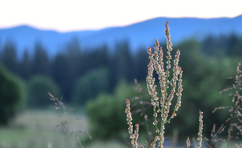 Фотографія ... / Igor Vakaliuk / photographers.ua