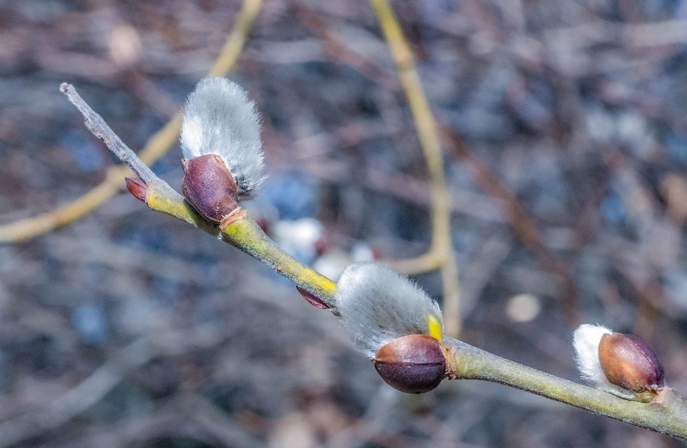 Фотографія Гламур / Igor Vakaliuk / photographers.ua