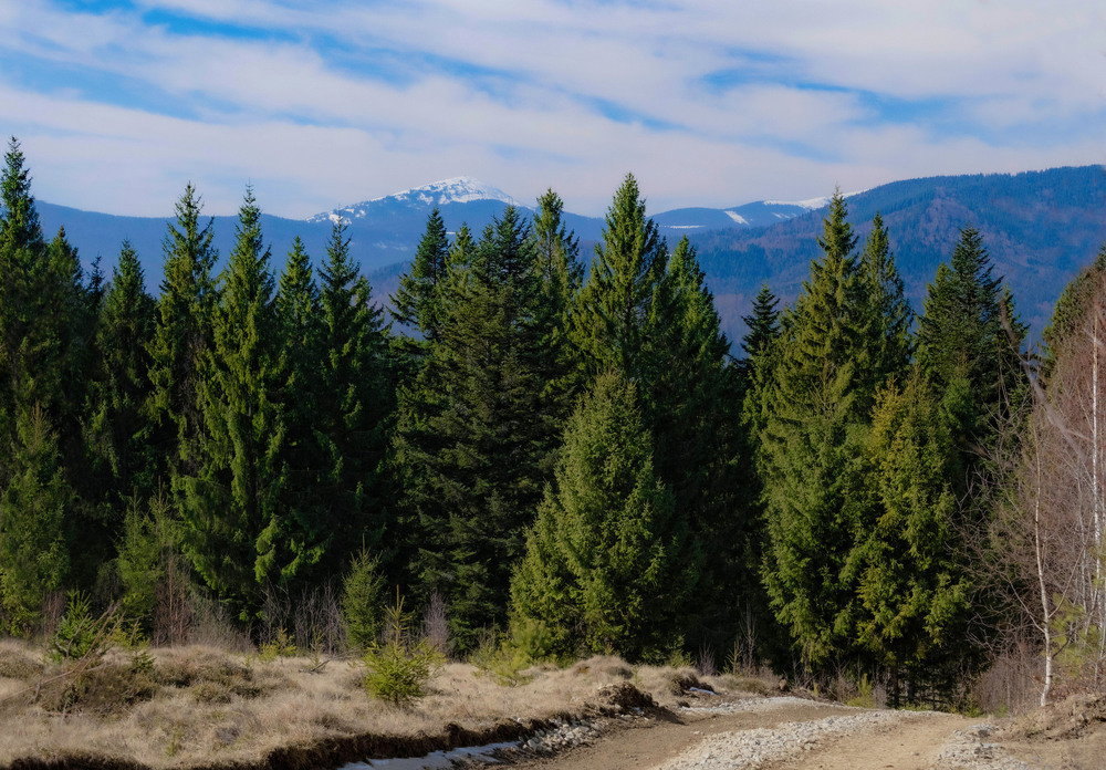 Фотографія Гламур / Igor Vakaliuk / photographers.ua