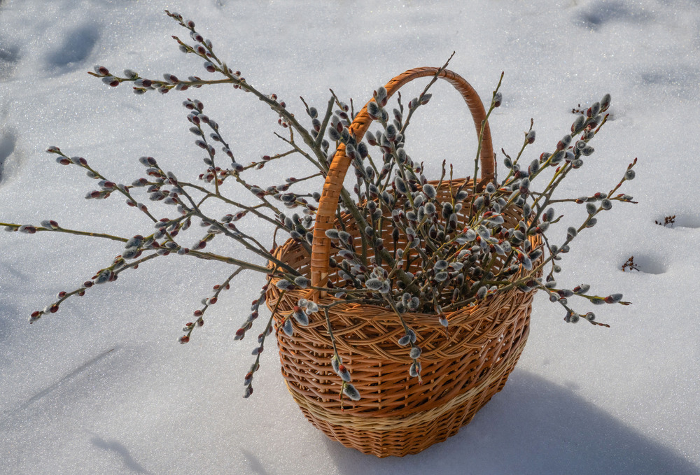 Фотографія Гламур / Igor Vakaliuk / photographers.ua