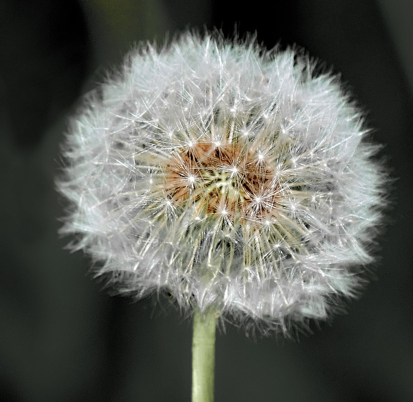 Фотографія Гламур / Igor Vakaliuk / photographers.ua