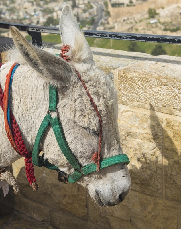 Фотографія Гламур / Igor Vakaliuk / photographers.ua