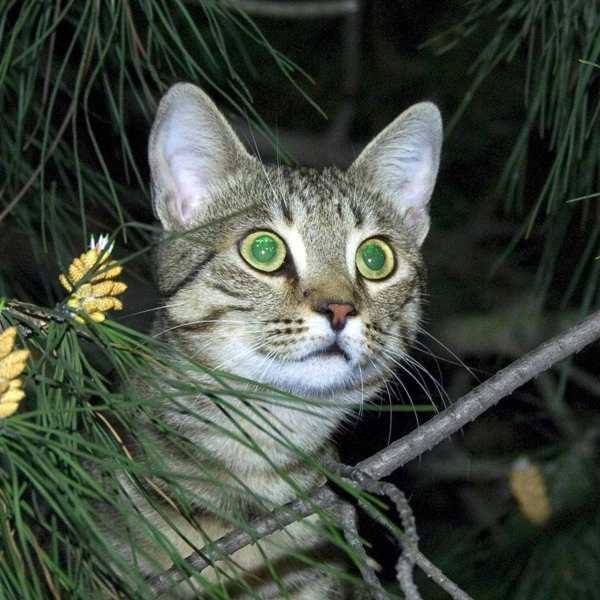 Фотографія Гламур / Igor Vakaliuk / photographers.ua