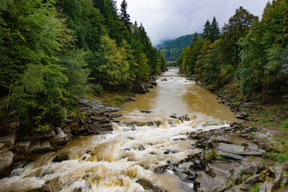 Фотографія Тече вода каламутна: Мила моя чого-сь смутна? Я не смутна, лем сердита: Бо я зночі була бита / Igor Vakaliuk / photographers.ua