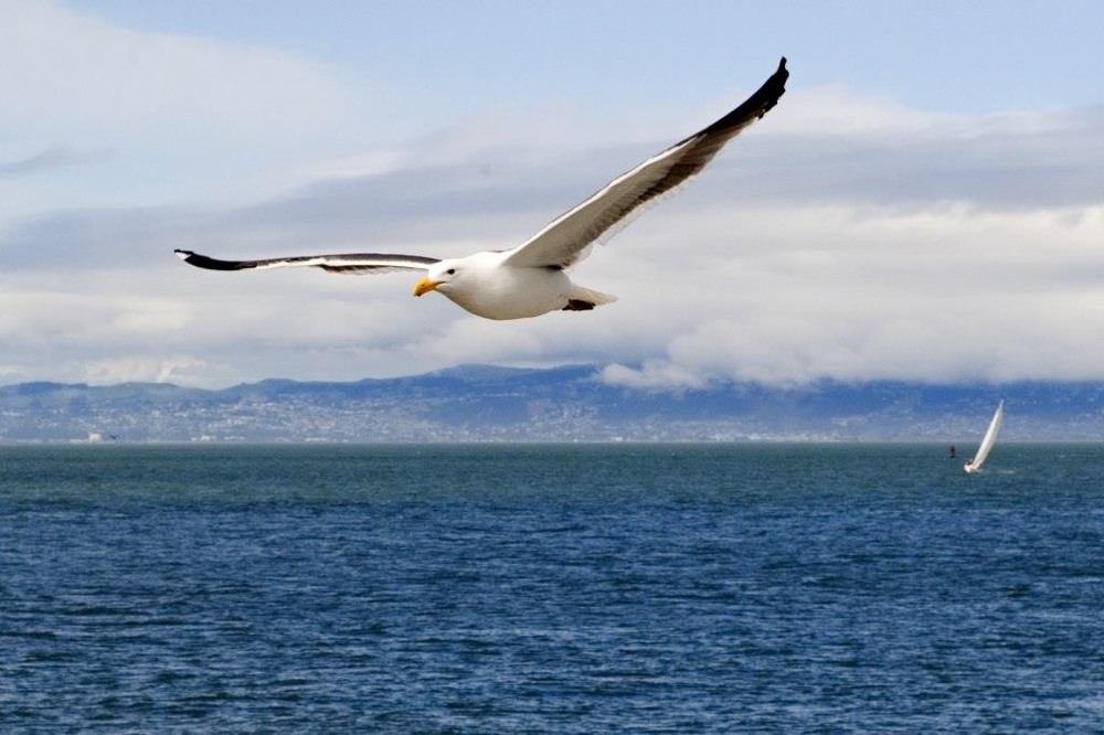 Фотографія Гламур / Igor Vakaliuk / photographers.ua