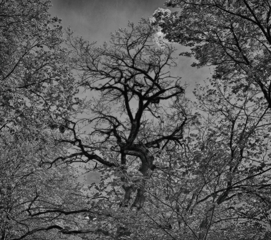 Фотографія Гламур / Igor Vakaliuk / photographers.ua