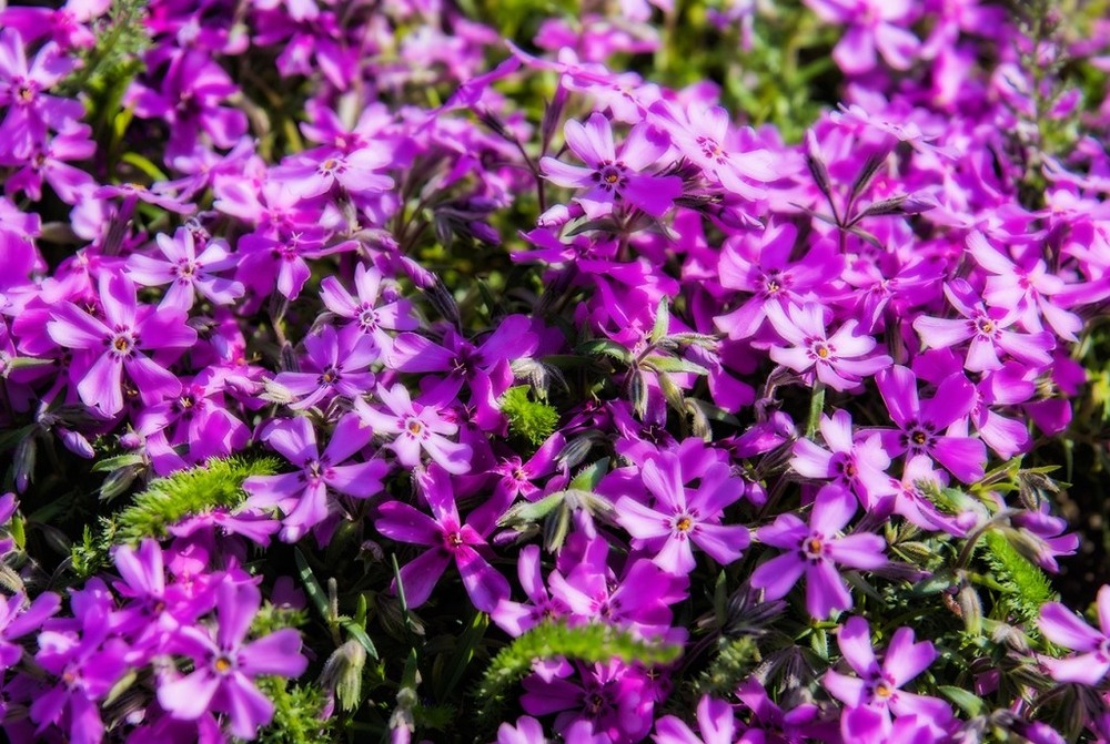 Фотографія Гламур / Igor Vakaliuk / photographers.ua