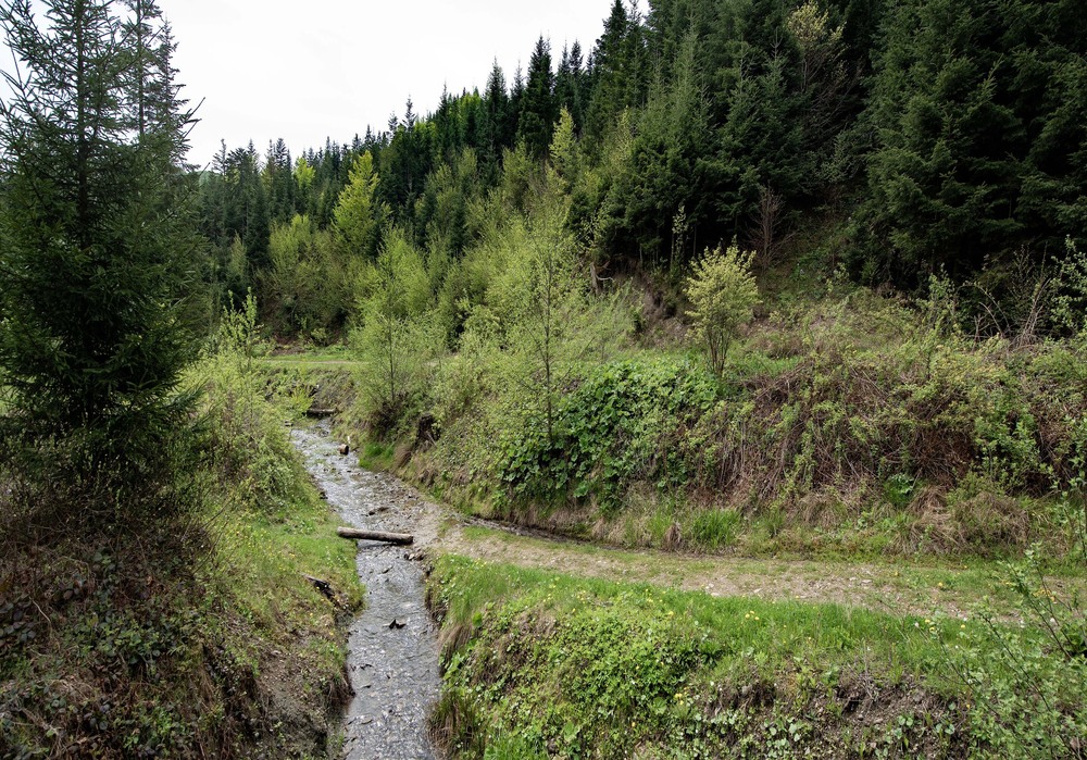 Фотографія Гламур / Igor Vakaliuk / photographers.ua