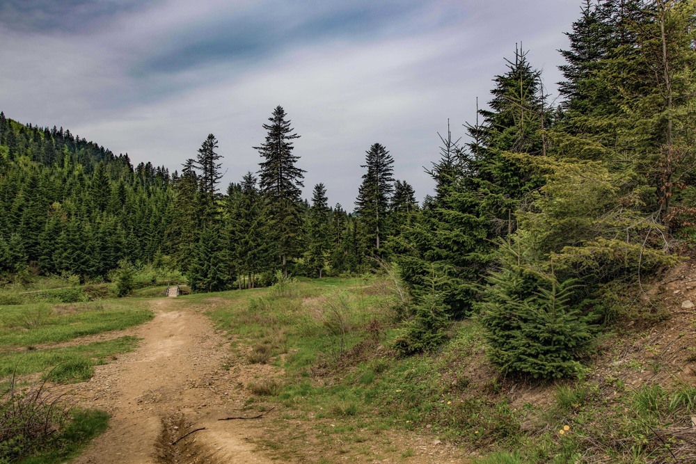 Фотографія Гламур / Igor Vakaliuk / photographers.ua