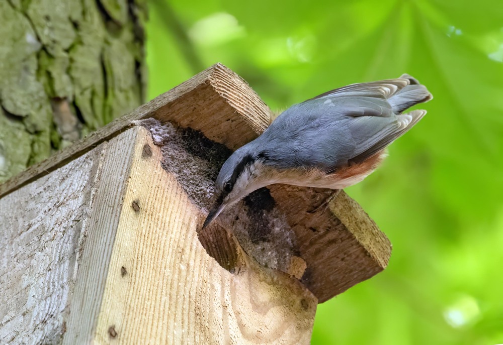 Фотографія Гламур / Igor Vakaliuk / photographers.ua