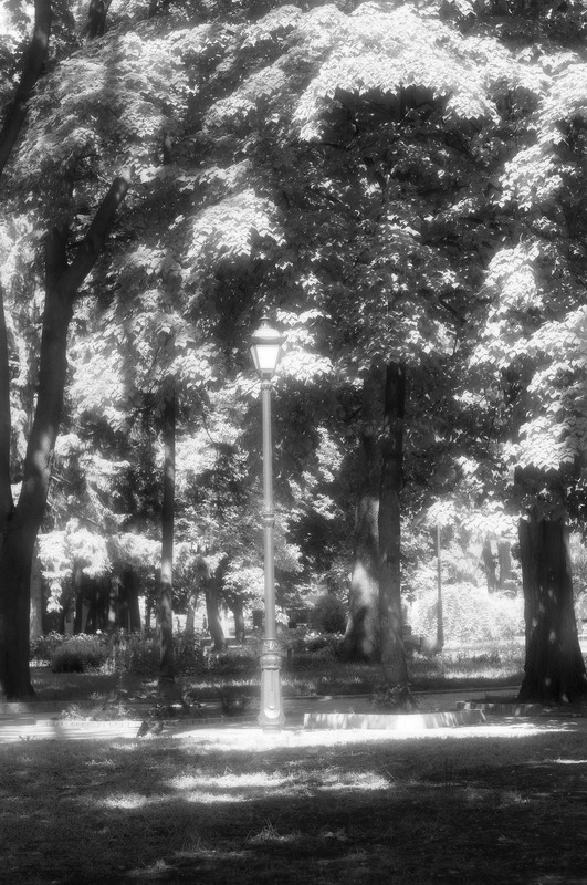 Фотографія Гламур / Igor Vakaliuk / photographers.ua