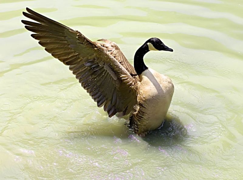 Фотографія Гламур / Igor Vakaliuk / photographers.ua