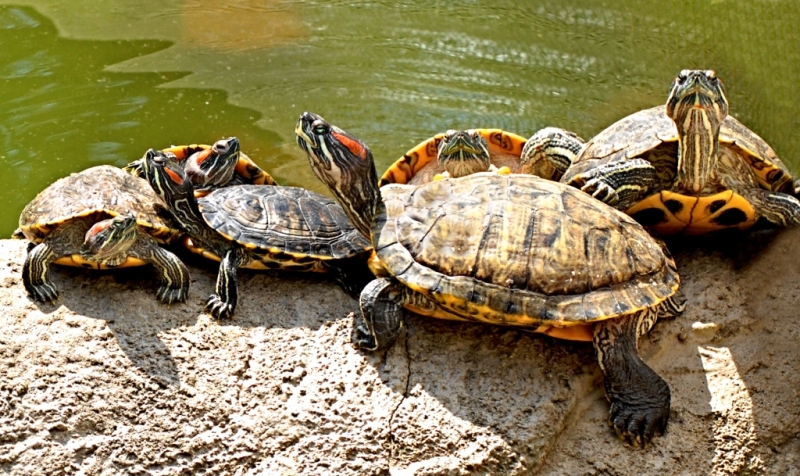 Фотографія Гламур / Igor Vakaliuk / photographers.ua