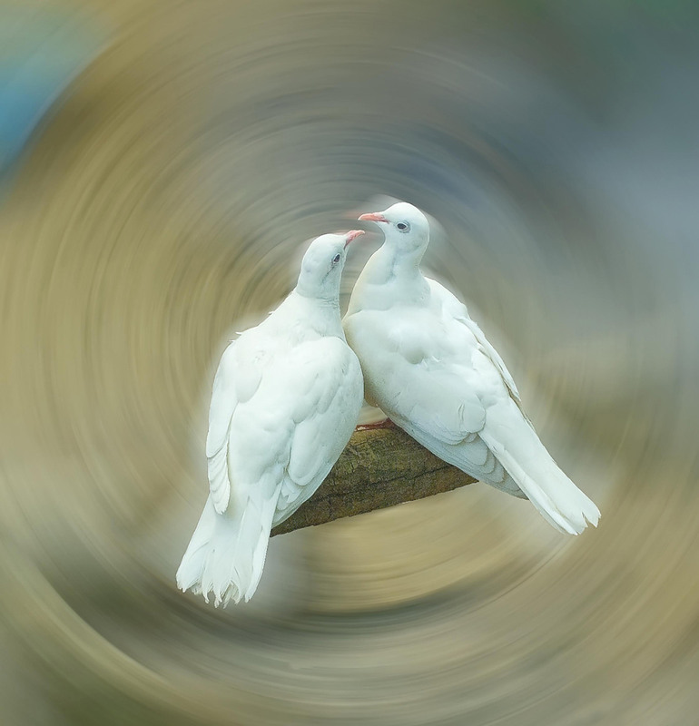 Фотографія Гламур / Igor Vakaliuk / photographers.ua