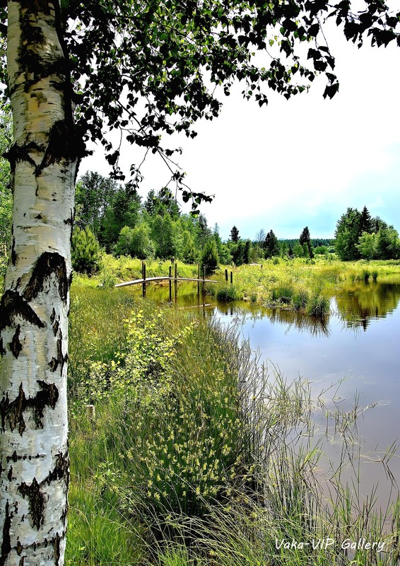 Фотографія Гламур / Igor Vakaliuk / photographers.ua