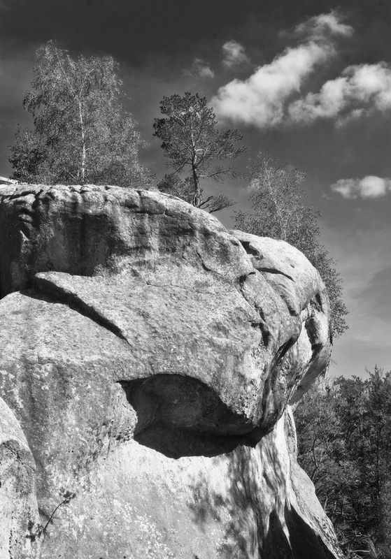 Фотографія Гламур / Igor Vakaliuk / photographers.ua