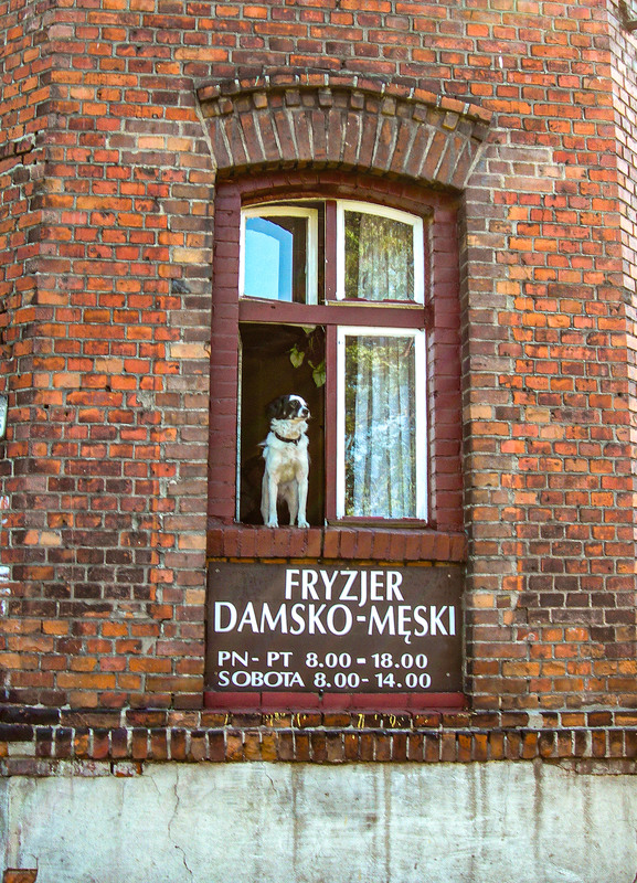 Фотографія ... адміністратор барбершопу... / Igor Vakaliuk / photographers.ua