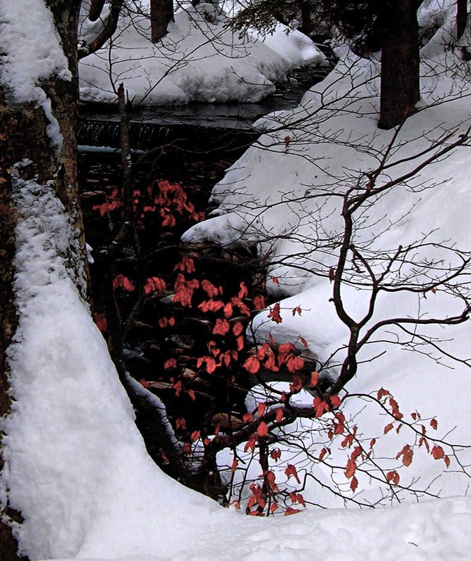 Фотографія ...була зима... (3) / Igor Vakaliuk / photographers.ua