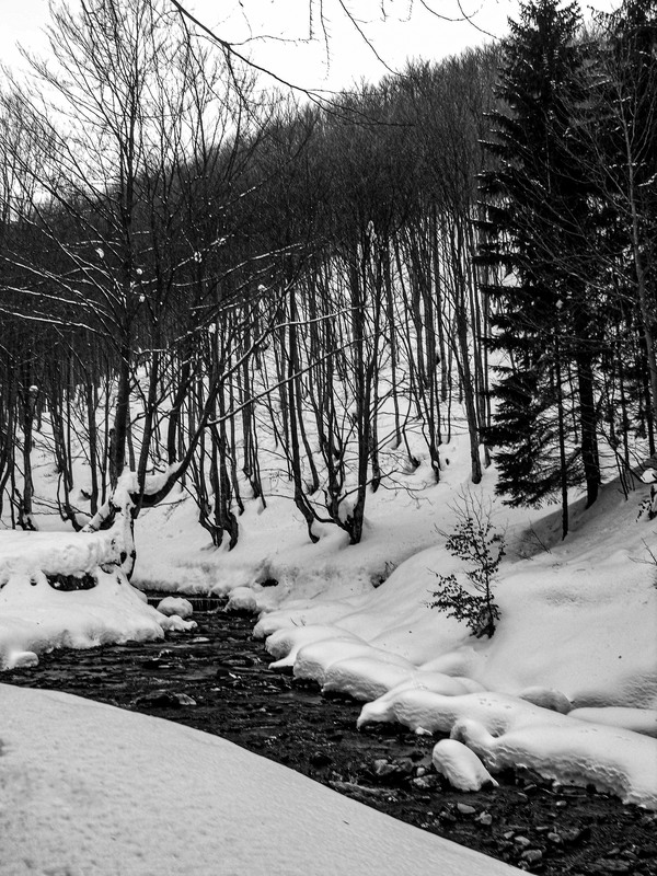 Фотографія ...була зима... (1) / Igor Vakaliuk / photographers.ua