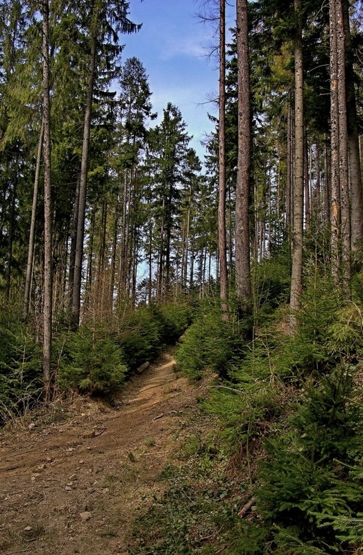 Фотографія Гламур / Igor Vakaliuk / photographers.ua