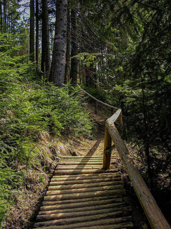 Фотографія ... стежкою до Св´ятого каменя... (Манявський Скит) / Igor Vakaliuk / photographers.ua