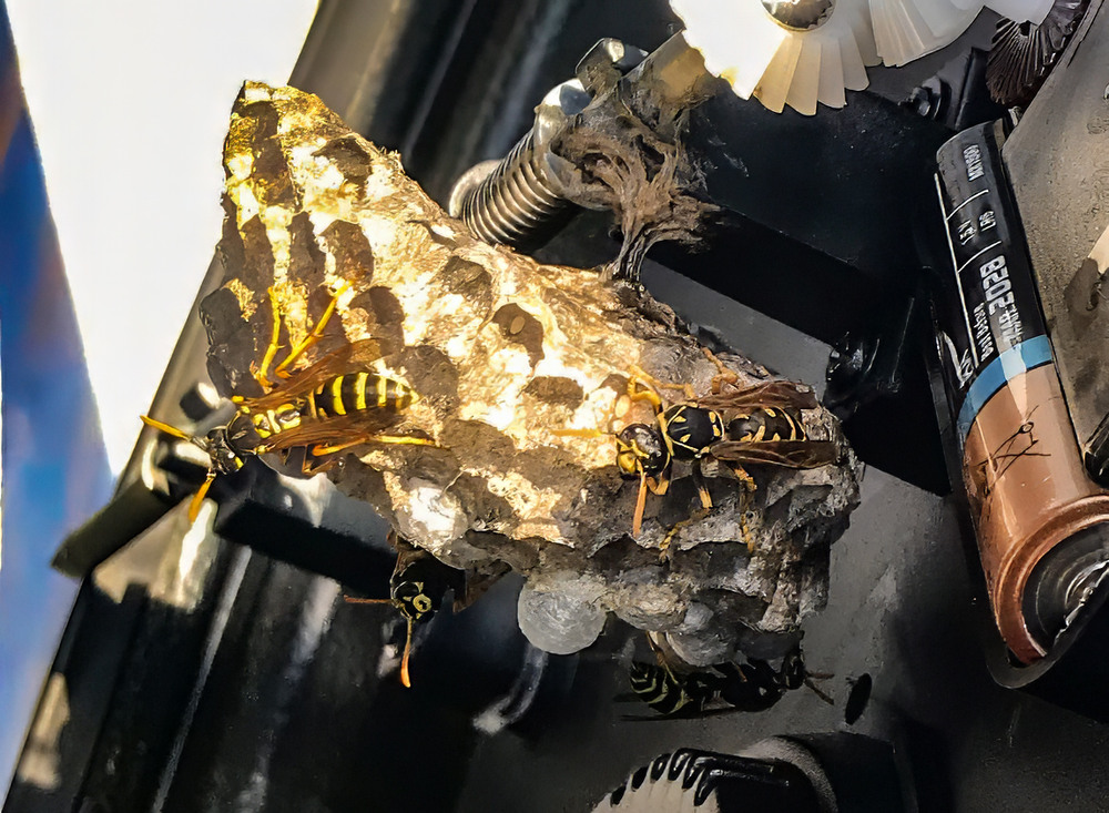 Фотографія ..."будівничі"... / Igor Vakaliuk / photographers.ua