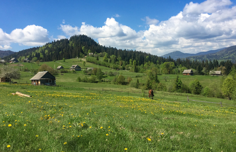 Фотографія ... репост після порад однодумців сайту... / Igor Vakaliuk / photographers.ua