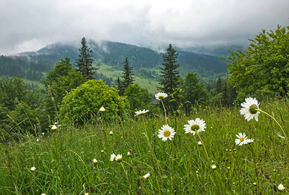 Фотографія Гламур / Igor Vakaliuk / photographers.ua