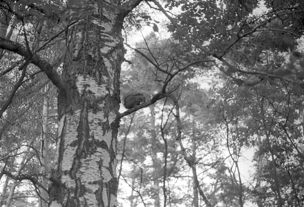 Фотографія Гламур / Igor Vakaliuk / photographers.ua