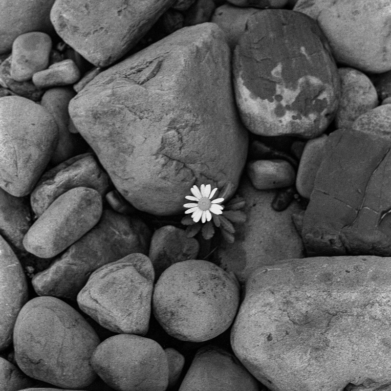 Фотографія Гламур / Igor Vakaliuk / photographers.ua