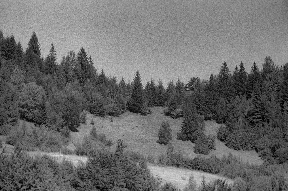 Фотографія Гламур / Igor Vakaliuk / photographers.ua