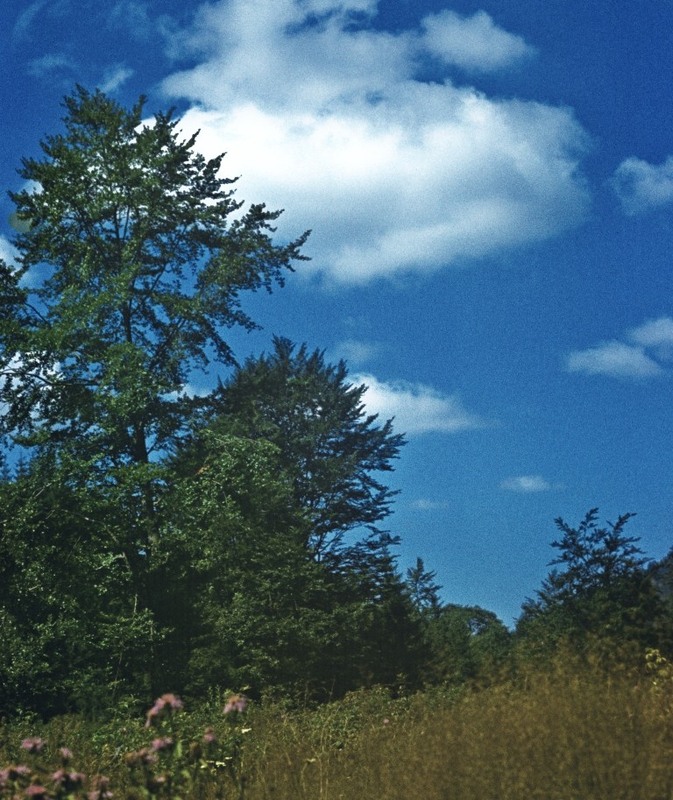 Фотографія Гламур / Igor Vakaliuk / photographers.ua