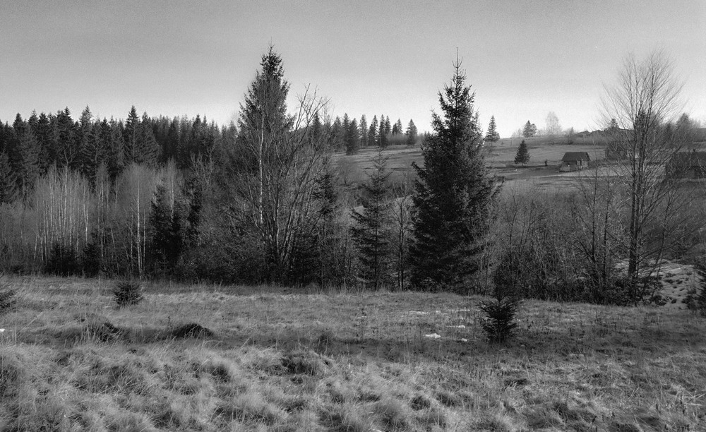 Фотографія ... у монохромі... / Igor Vakaliuk / photographers.ua