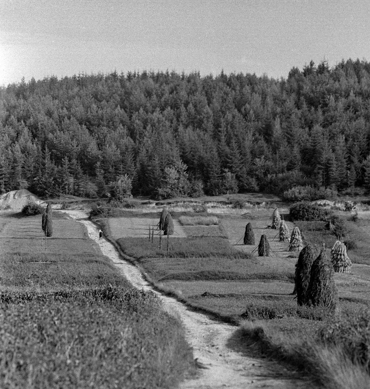 Фотографія Гламур / Igor Vakaliuk / photographers.ua