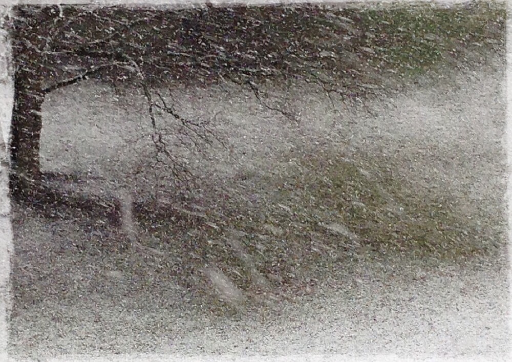 Фотографія Снег,метель,озябший нос..Где ты был?(немой вопрос) / Шапокляк / photographers.ua
