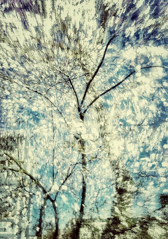 Фотографія "О, весна без конца и без краю..!" / Шапокляк / photographers.ua
