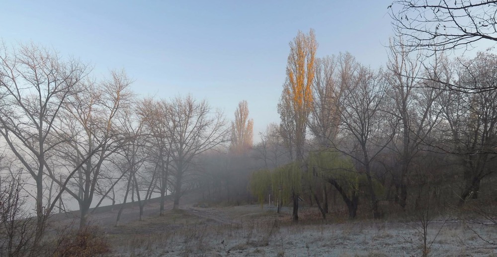 Фотографія Утро ноября - первый заморозок / Леопольд / photographers.ua