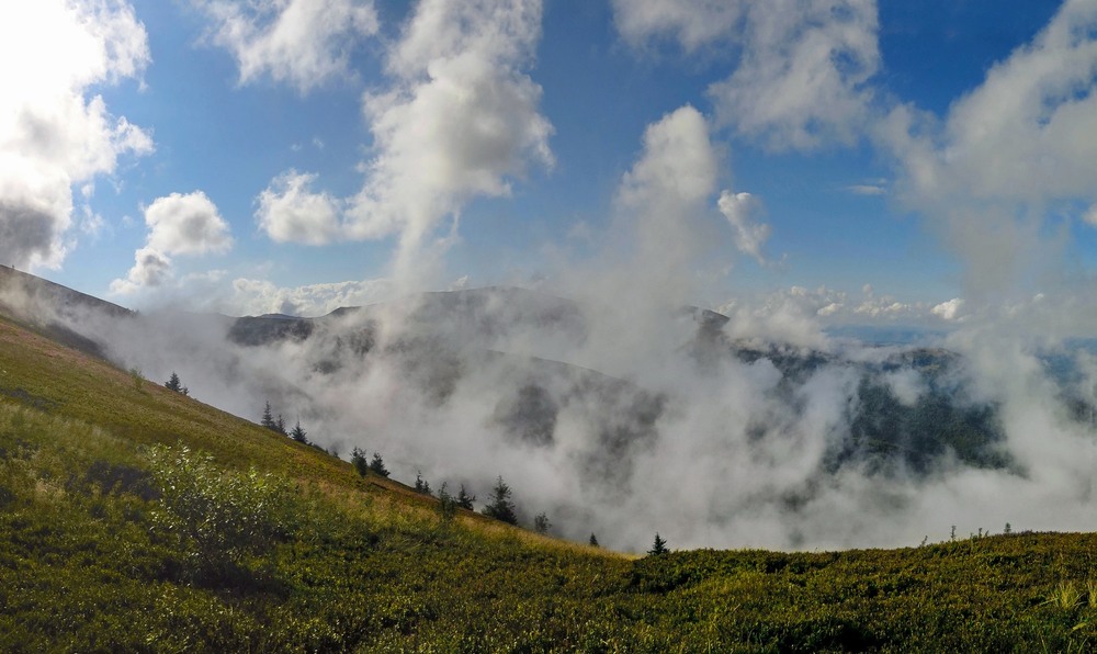 Фотографія На схилах Гемби / Леопольд / photographers.ua
