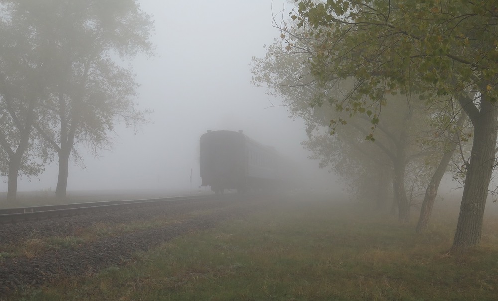 Фотографія Туман / Леопольд / photographers.ua