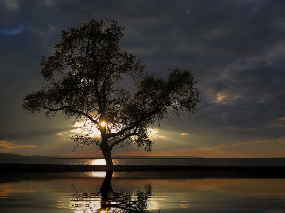 Фотографія Вечір / Леопольд / photographers.ua