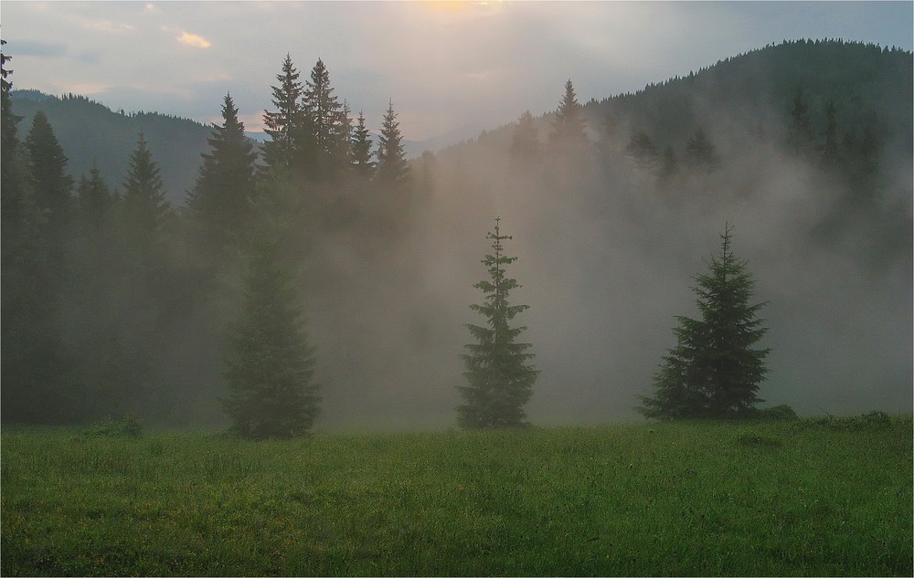 Фотографія Пейзаж с туманом / Леопольд / photographers.ua