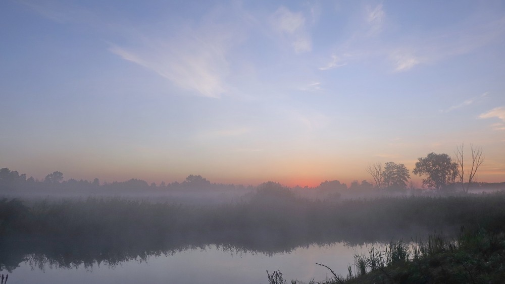 Фотографія Сегодняшний / Леопольд / photographers.ua