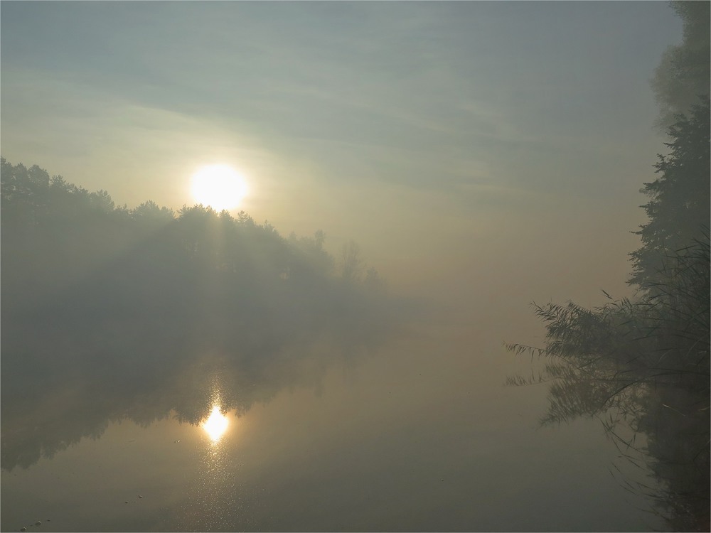 Фотографія Пейзаж с туманом / Леопольд / photographers.ua