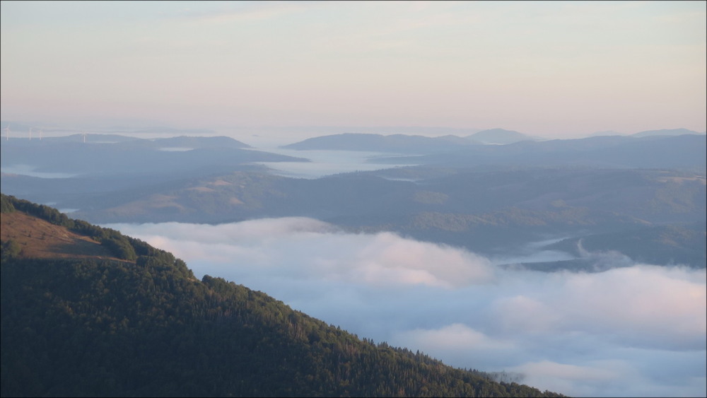 Фотографія Ранкова ніжність / Леопольд / photographers.ua