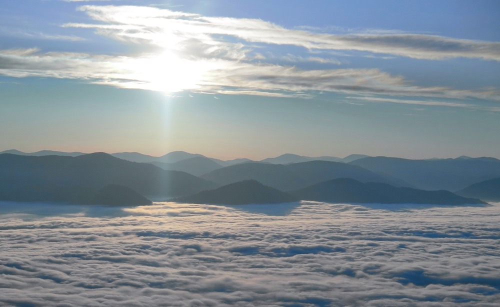 Фотографія У Белой реки / Леопольд / photographers.ua